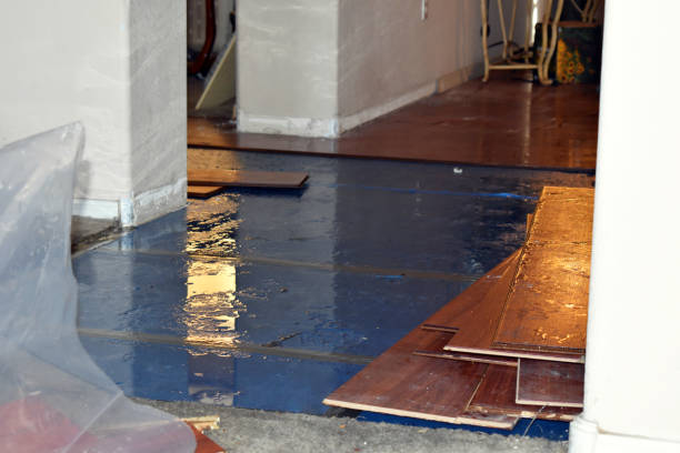 Professional Burst Pipe Cleanup technician working in Cherry Valley, MA